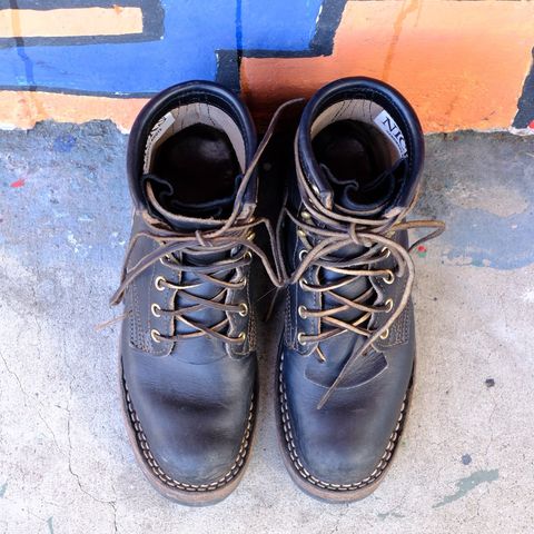 Nicks Robert in Wickett & Craig Black Traditional Harness