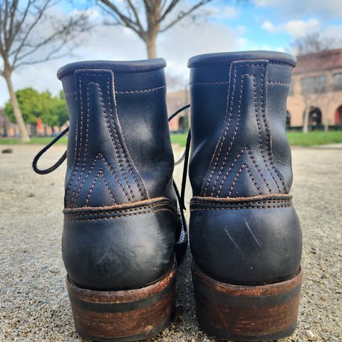 Nicks Robert in Wickett & Craig Black Traditional Harness