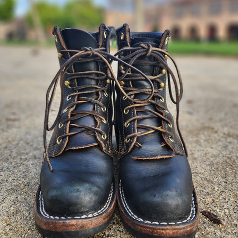 Nicks Robert in Wickett & Craig Black Traditional Harness