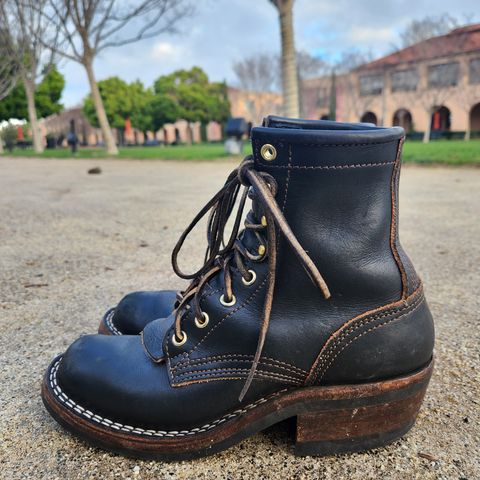 Nicks Robert in Wickett & Craig Black Traditional Harness