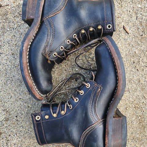 Nicks Robert in Wickett & Craig Black Traditional Harness