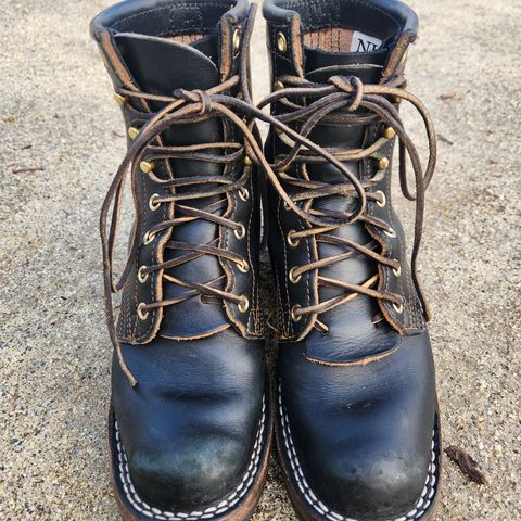 Nicks Robert in Wickett & Craig Black Traditional Harness