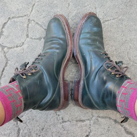 Search result thumbnail of Carmina Derby Boots 1628 in Horween Green Shell Cordovan