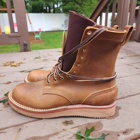 Nicks Traveler in Horween Orange Predator