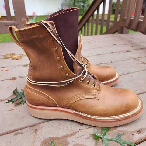 Nicks Traveler in Horween Orange Predator