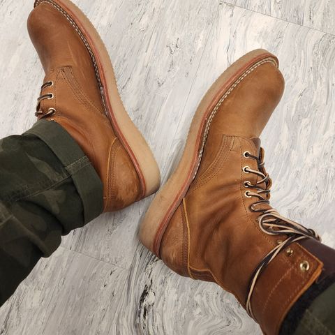 Nicks Traveler in Horween Orange Predator