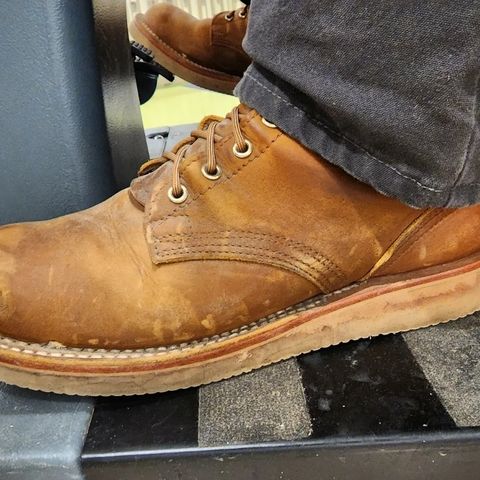 Nicks Traveler in Horween Orange Predator