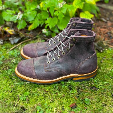 Truman Service Boot in C.F. Stead Black Burgundy Rambler
