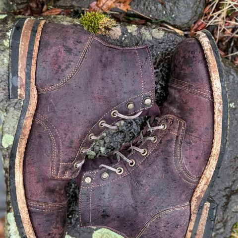 Truman Service Boot in C.F. Stead Black Burgundy Rambler