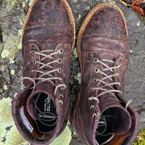 Truman Service Boot in C.F. Stead Black Burgundy Rambler
