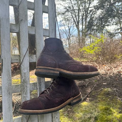 Truman Service Boot in C.F. Stead Black Burgundy Rambler