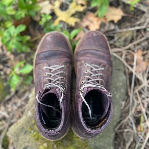 Truman Service Boot in C.F. Stead Black Burgundy Rambler