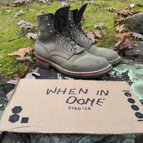 Nicks MTO in Horween Steel Predator