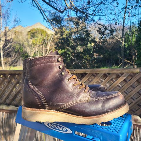 Wolverine 1000 Mile Moc-Toe Boot in Horween Arabica Lux Calfskin