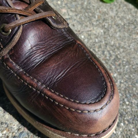 Wolverine 1000 Mile Moc-Toe Boot in Horween Arabica Lux Calfskin