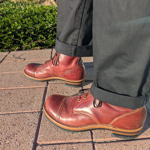 Iron Boots 5515 in Maryam Ruggine Shell Cordovan