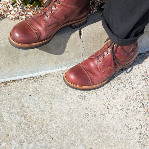 Iron Boots 5515 in Maryam Ruggine Shell Cordovan