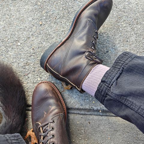 Red Wing 8061 Merchant in S.B. Foot Ebony Harness