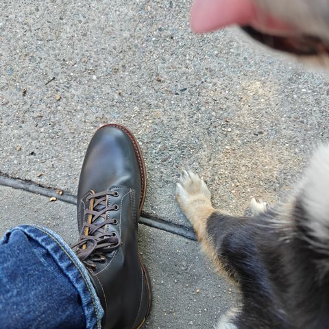 Red Wing Beckman Flatbox in S.B. Foot Black Klondike