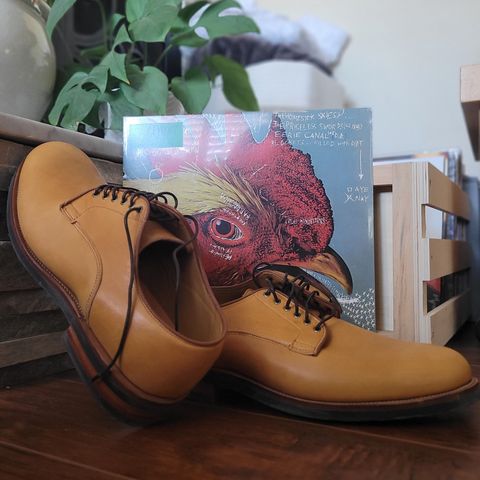 Viberg Derby Shoe in Shinki Camel Latigo Horsehide