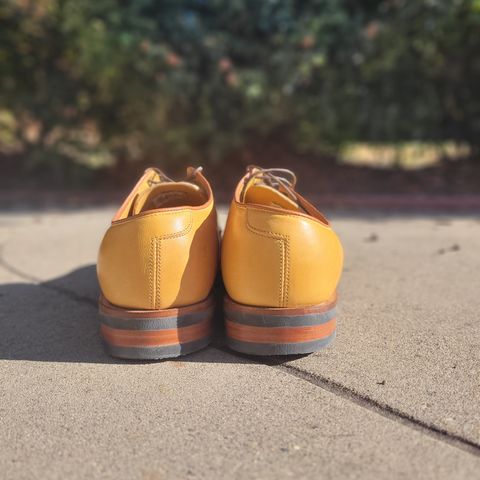 Viberg Derby Shoe in Shinki Camel Latigo Horsehide