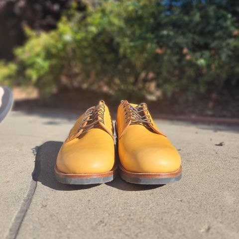 Viberg Derby Shoe in Shinki Camel Latigo Horsehide
