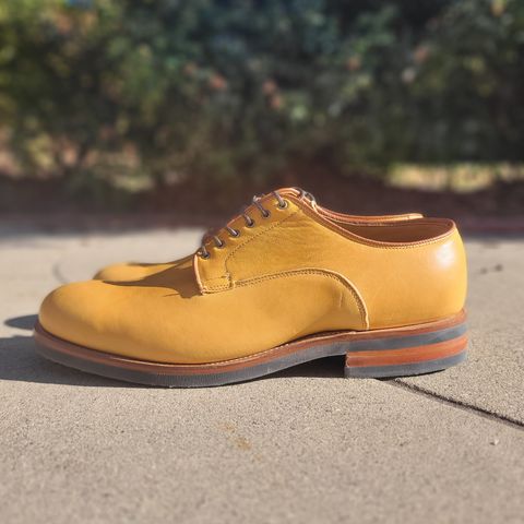 Viberg Derby Shoe in Shinki Camel Latigo Horsehide