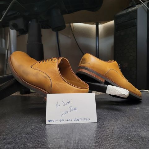 Viberg Derby Shoe in Shinki Camel Latigo Horsehide