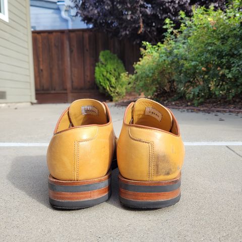 Viberg Derby Shoe in Shinki Camel Latigo Horsehide