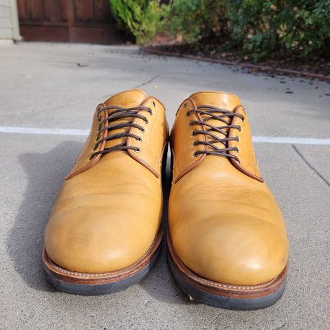 Viberg Derby Shoe in Shinki Camel Latigo Horsehide