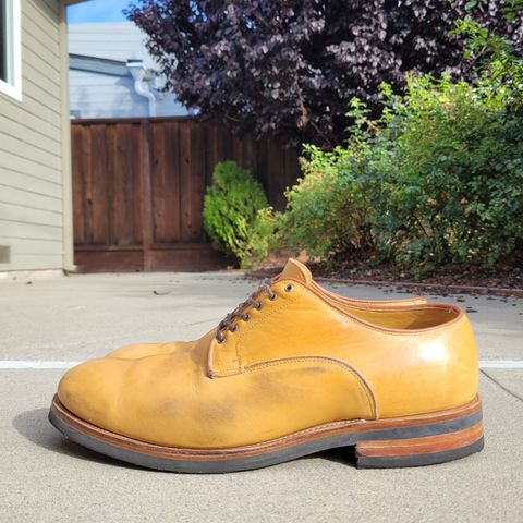 Viberg Derby Shoe in Shinki Camel Latigo Horsehide