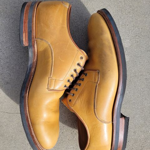 Viberg Derby Shoe in Shinki Camel Latigo Horsehide