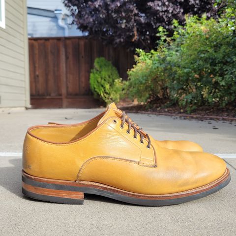 Viberg Derby Shoe in Shinki Camel Latigo Horsehide