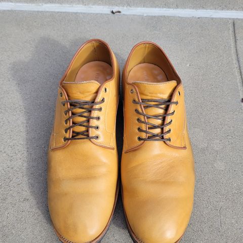 Viberg Derby Shoe in Shinki Camel Latigo Horsehide