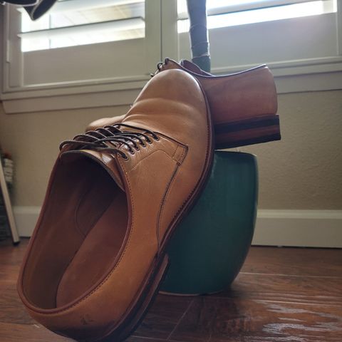 Viberg Derby Shoe in Shinki Camel Latigo Horsehide