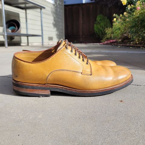 Viberg Derby Shoe in Shinki Camel Latigo Horsehide