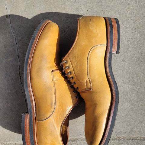 Viberg Derby Shoe in Shinki Camel Latigo Horsehide