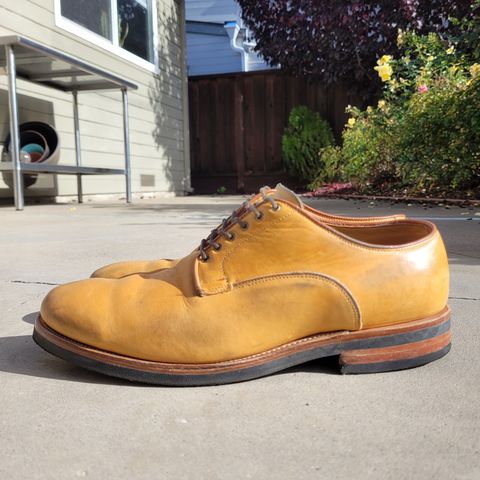 Viberg Derby Shoe in Shinki Camel Latigo Horsehide