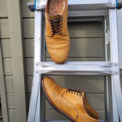 Viberg Derby Shoe in Shinki Camel Latigo Horsehide