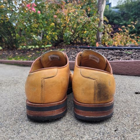 Viberg Derby Shoe in Shinki Camel Latigo Horsehide