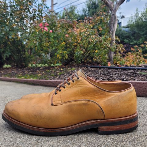 Viberg Derby Shoe in Shinki Camel Latigo Horsehide