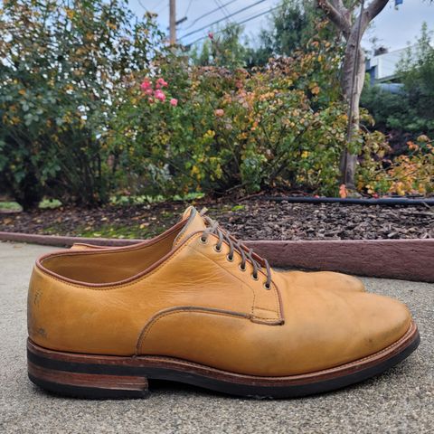 Viberg Derby Shoe in Shinki Camel Latigo Horsehide