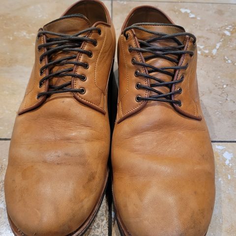 Viberg Derby Shoe in Shinki Camel Latigo Horsehide