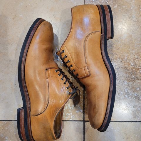 Viberg Derby Shoe in Shinki Camel Latigo Horsehide