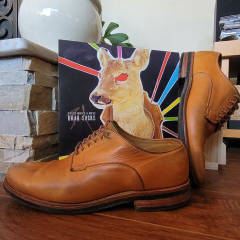 Viberg Derby Shoe in Shinki Camel Latigo Horsehide