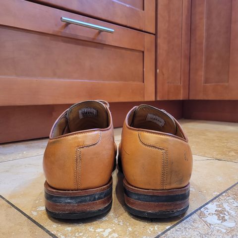Viberg Derby Shoe in Shinki Camel Latigo Horsehide