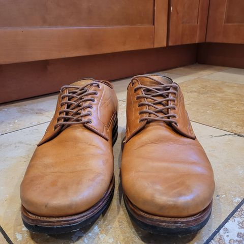 Viberg Derby Shoe in Shinki Camel Latigo Horsehide