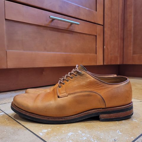 Viberg Derby Shoe in Shinki Camel Latigo Horsehide