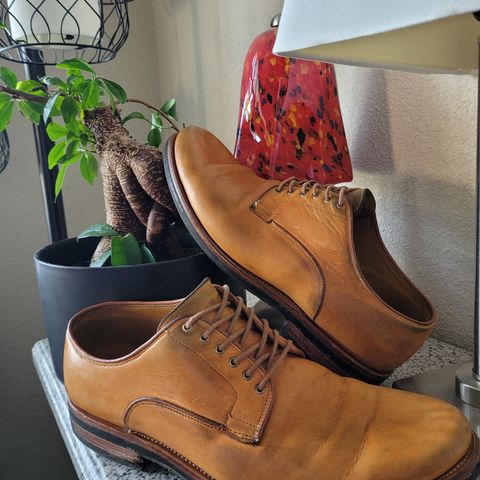 Viberg Derby Shoe in Shinki Camel Latigo Horsehide