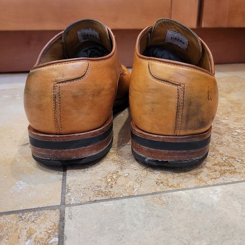 Viberg Derby Shoe in Shinki Camel Latigo Horsehide